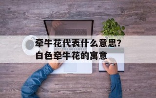 牵牛花代表什么意思？白色牵牛花的寓意