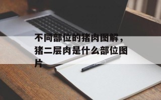 不同部位的猪肉图解，猪二层肉是什么部位图片