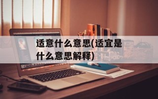 适意什么意思(适宜是什么意思解释)