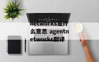 networks是什么意思 agentnetworks翻译