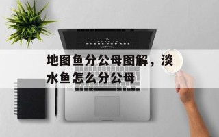 地图鱼分公母图解，淡水鱼怎么分公母