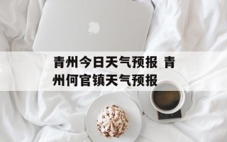 青州今日天气预报 青州何官镇天气预报