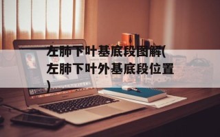 左肺下叶基底段图解(左肺下叶外基底段位置)