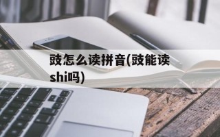 豉怎么读拼音(豉能读shi吗)