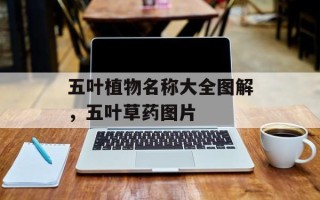 五叶植物名称大全图解，五叶草药图片