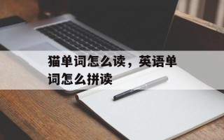 猫单词怎么读，英语单词怎么拼读