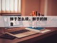 鲜于怎么读，鲜于的拼音