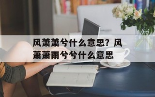 风萧萧兮什么意思？风萧萧雨兮兮什么意思
