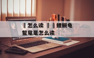 鯾怎么读 鯾鲌鲤鳜龟鳖鼋鼍怎么读