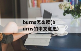 burns怎么读(burns的中文意思)