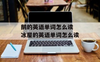 鹅的英语单词怎么读 冰屋的英语单词怎么读