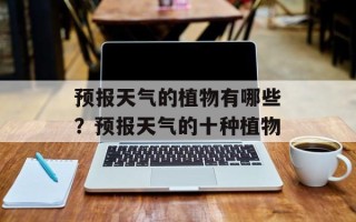预报天气的植物有哪些？预报天气的十种植物