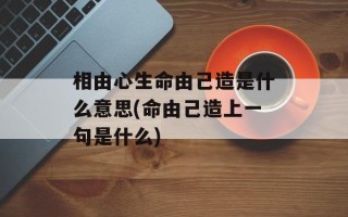 相由心生命由己造是什么意思(命由己造上一句是什么)