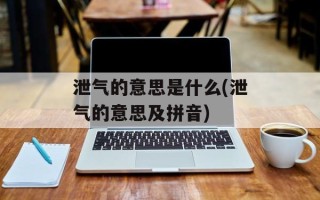 泄气的意思是什么(泄气的意思及拼音)