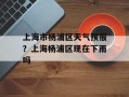 上海市杨浦区天气预报？上海杨浦区现在下雨吗