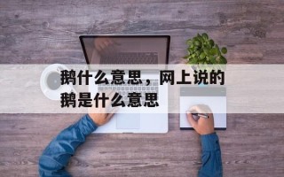 鹅什么意思，网上说的鹅是什么意思