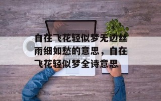自在飞花轻似梦无边丝雨细如愁的意思，自在飞花轻似梦全诗意思
