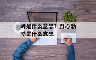 岬是什么意思？野心勃勃是什么意思