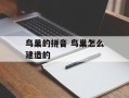 鸟巢的拼音 鸟巢怎么建造的