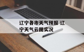 辽宁各市天气预报 辽宁天气云图实况
