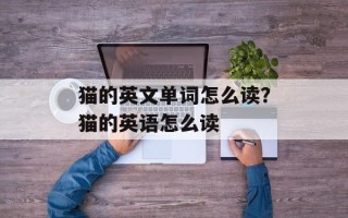 猫的英文单词怎么读？猫的英语怎么读
