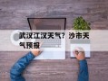 武汉江汉天气？沙市天气预报
