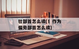 壮部首怎么读(丬作为偏旁部首怎么读)