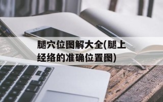 腿穴位图解大全(腿上经络的准确位置图)