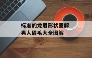 标准的龙眉形状图解 男人眉毛大全图解