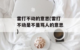 雷打不动的意思(雷打不动是不是骂人的意思)