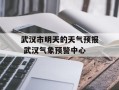 武汉市明天的天气预报 武汉气象预警中心