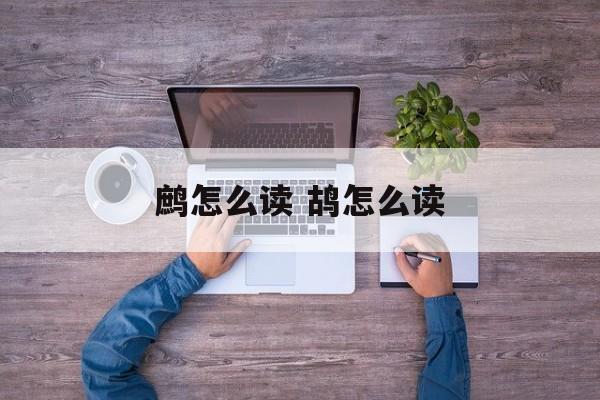 鹧怎么读 鸪怎么读-第1张图片-
