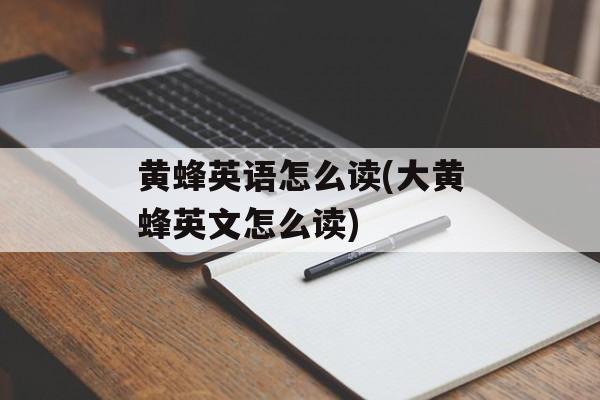 黄蜂英语怎么读(大黄蜂英文怎么读)-第1张图片-