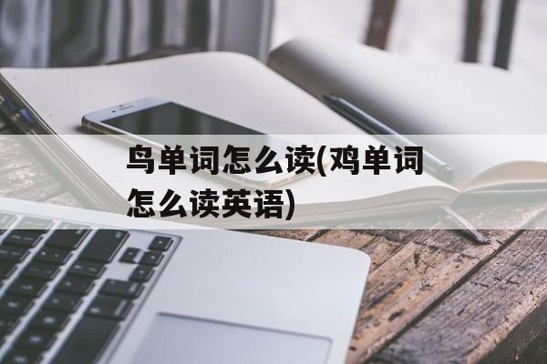 鸟单词怎么读(鸡单词怎么读英语)-第1张图片-
