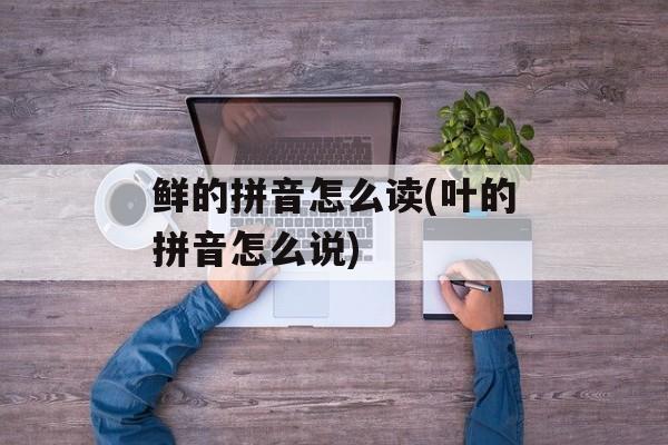 鲜的拼音怎么读(叶的拼音怎么说)-第1张图片-