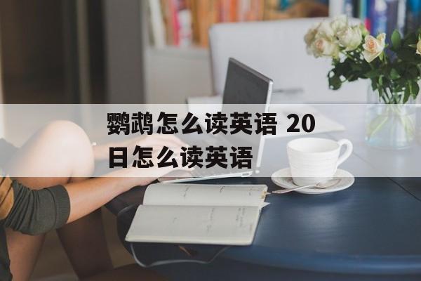鹦鹉怎么读英语 20日怎么读英语-第1张图片-