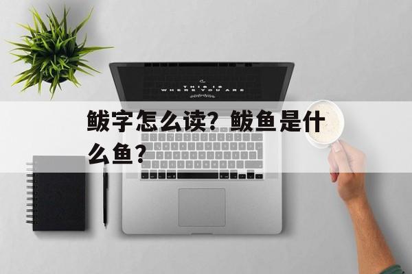 鲅字怎么读？鲅鱼是什么鱼？-第1张图片-