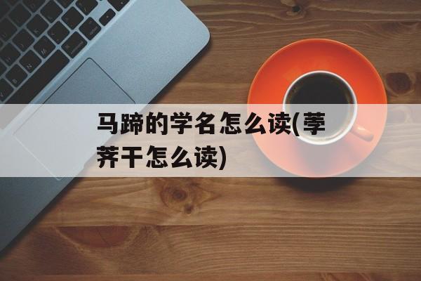 马蹄的学名怎么读(荸荠干怎么读)-第1张图片-