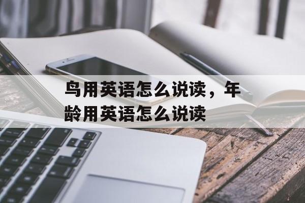 鸟用英语怎么说读，年龄用英语怎么说读-第1张图片-
