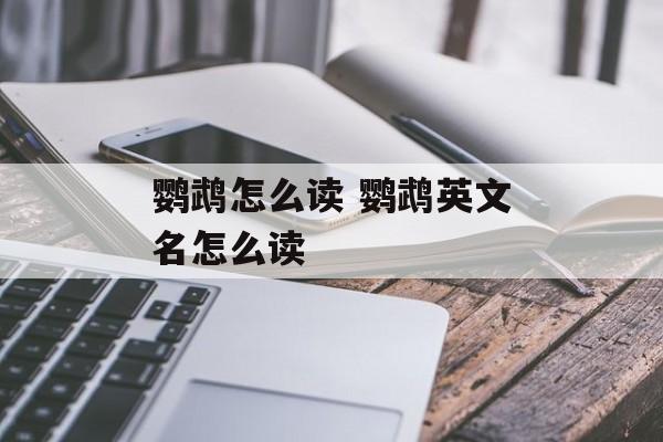 鹦鹉怎么读 鹦鹉英文名怎么读-第1张图片-