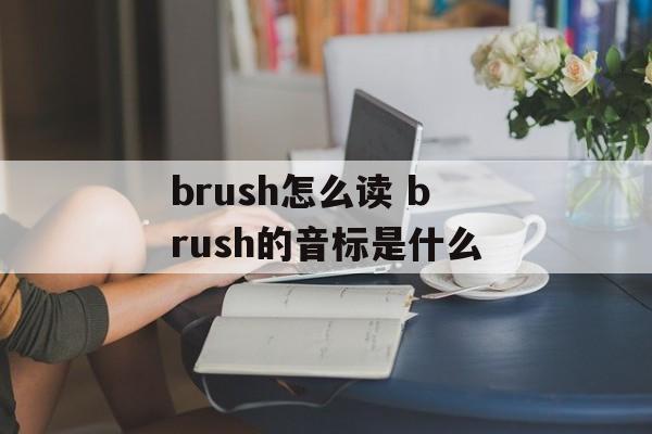 brush怎么读 brush的音标是什么-第1张图片-