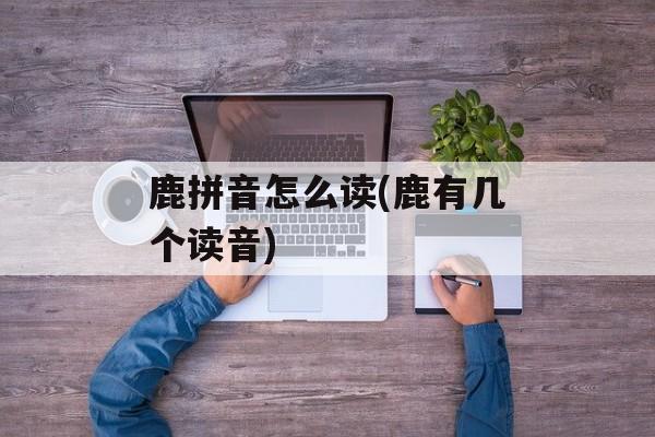 鹿拼音怎么读(鹿有几个读音)-第1张图片-