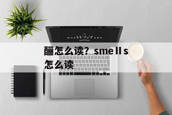酾怎么读？smeⅡs怎么读-第1张图片-