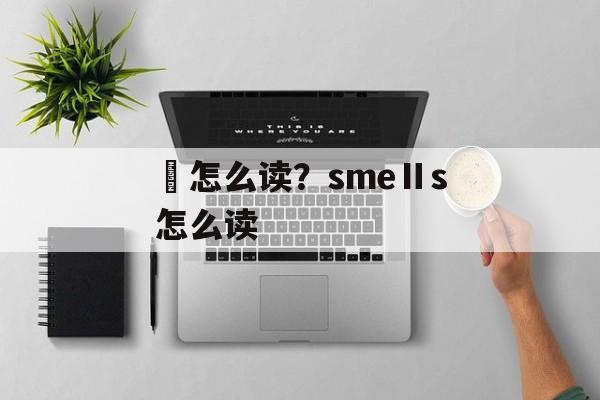 鐇怎么读？smeⅡs怎么读-第1张图片-