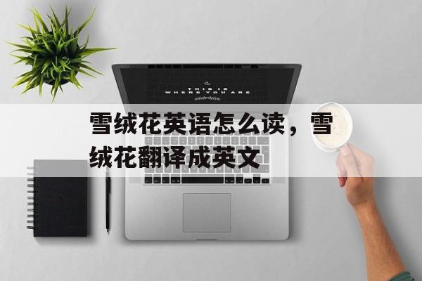 雪绒花英语怎么读，雪绒花翻译成英文-第1张图片-