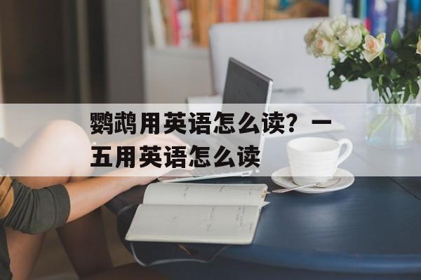 鹦鹉用英语怎么读？一五用英语怎么读-第1张图片-