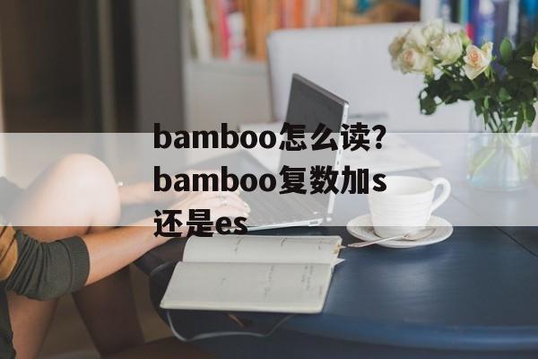 bamboo怎么读？bamboo复数加s还是es-第1张图片-