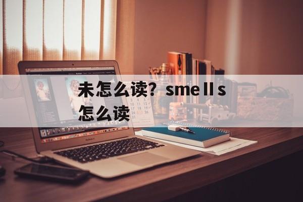 未怎么读？smeⅡs怎么读-第1张图片-