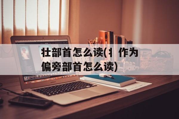 壮部首怎么读(丬作为偏旁部首怎么读)-第1张图片-