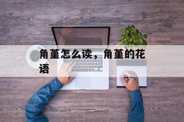 角堇怎么读，角堇的花语-第1张图片-